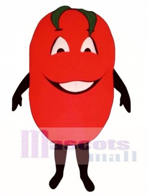 Big Tomato Mascot Costume Plant