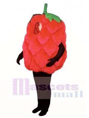 Fresh Raspberry Mascot Costume