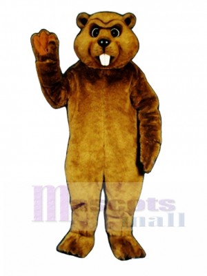 Beaver Mascot Costume Animal 