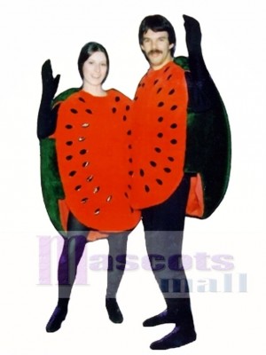 Watermelon Half Mascot Costume Fruit 