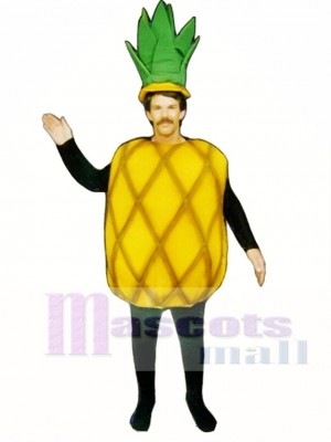 Pineapple Mascot Costume