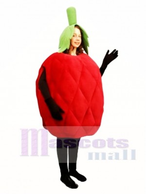 Raspberry Mascot Costume