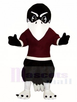 Cute Black Bird Raven Mascot Costumes Animal