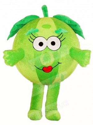 Green Watermelon Mascot Costumes Fruit 