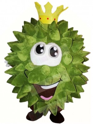 Musang King Durian Mascot Costumes Fruit 