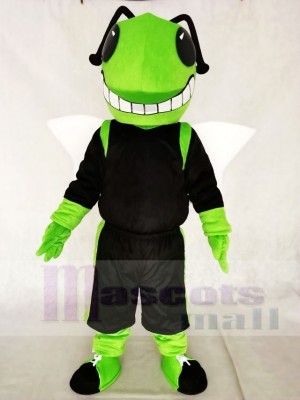 Green and Black Hornets Mascot Costumes Insect 