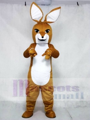 Kangaroo with Joey Mascot Costumes Animal