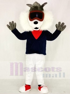 Cute Alley Cat Mascot Costumes Animal 