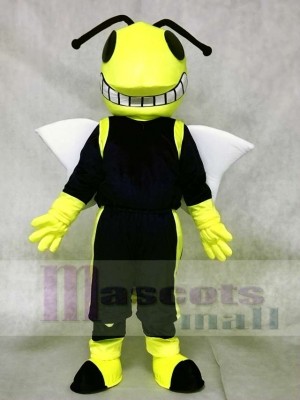 Yellow and Blue Hornets Mascot Costumes Insect 