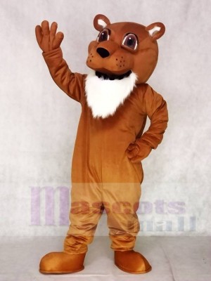 Colby Cougar Mascot Costumes Animal