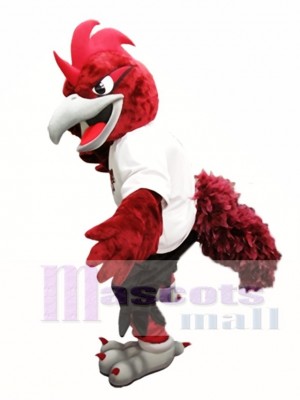 Cute Red Roadrunner Mascot Costume Roadrunners College Mascot Costumes Bird