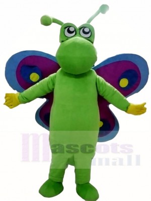 Green Butterfly with Purple and Blue Wings Mascot Costumes Insect