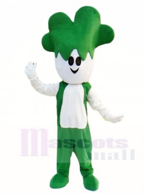 Green Vegetables Cabbage Mascot Costumes Plant 