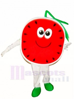 Half a Watermelon Mascot Costumes Fruit 