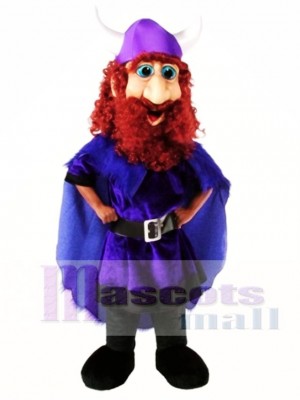 Friendly Viking Mascot Costume