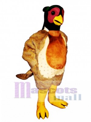 Cute Pheasant Mascot Costume Bird