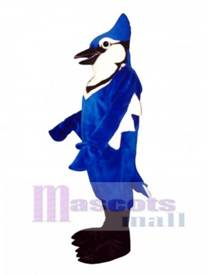 Cute Jennie Blue Jay Mascot Costume Bird
