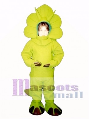 Cute Triceratops Mascot Costume Animal  