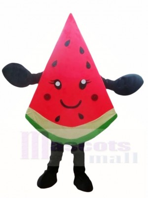 Watermelon Slice Mascot Costumes Fruit 