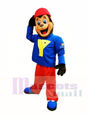 Brown Bear Mascot Costumes