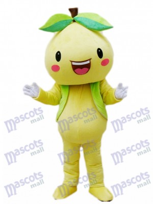 Yellow Pomelo Shaddock Grapefruit Mascot Costume Fruit 