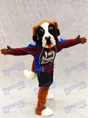 Bernie the Dog St. Bernard Colorado Avalanche Mascot Costume Animal 