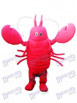 Red Crayfish Mascot Costume Seafood Ocean 