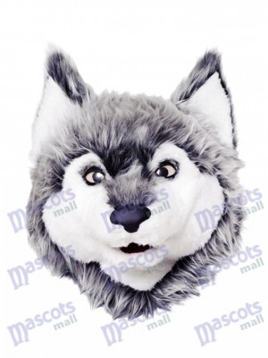 Gray Wolf Mascot Head Only Animal 