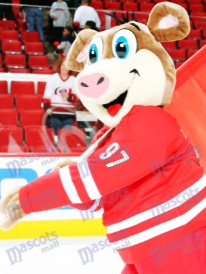 Stormy Carolina Hurricanes Ice Hog Mascot Costume Animal 