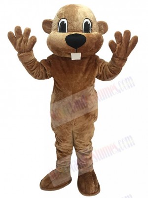 Alex the Beaver Mascot Costume Animal