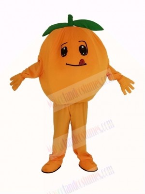 Orange Fruit Mascot Costume