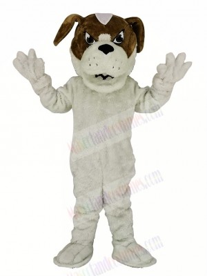 Saint Bernard Dog Mascot Costume Cartoon