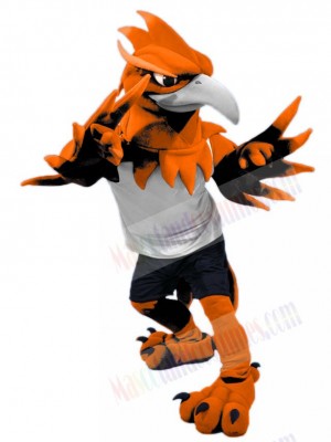 Phoenix Bird mascot costume