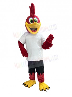 Roadrunner Bird mascot costume