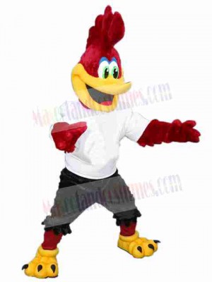 Red Roadrunner Mascot Costumes Bird Animal
