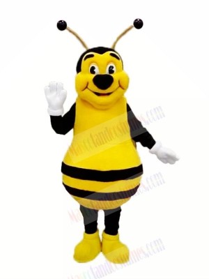 Smiling Bee Mascot Costumes Adult