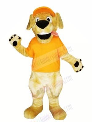Retriever Dog with Orange T-shirt Mascot Costumes Cartoon	