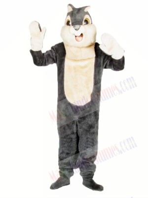 Cute Grey Squirrel Mascot Costumes 