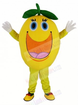 Cute Round Orange Mascot Costume