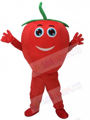 Cute Red Tomato with Smile Mascot Costume