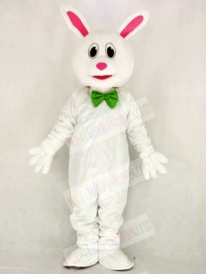 Funny Easter Bunny Rabbit Mascot Costume School 