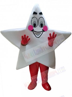Star mascot costume