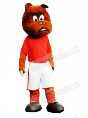 Cute Football Bulldog Mascot Costume 