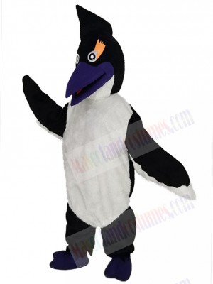 Woody Woodpecker Bird Mascot Costume Cartoon