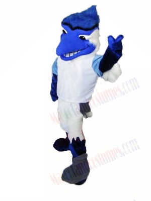 College Blue Jay Mascot Costumnes