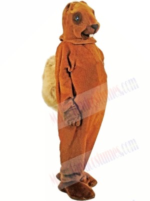 A Medium-brown Squirrel Mascot Costumes 