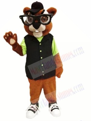 Chubby Chipmunk Mascot Costumes 