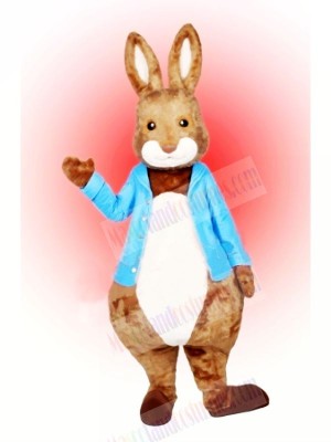 Peter Rabbit Mascot Costume Cartoon
