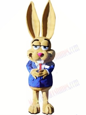 Cute Jackrabbit Mascot Costumes