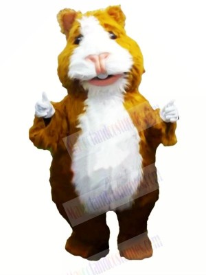 Cute Hamster Mascot Costumes Cartoon	